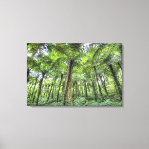 Lienzo Vista de la vegetación en el Jardín Botánico de