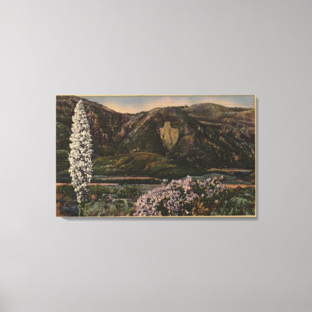 Lienzo Vista de la zona horaria - San Bernardino Mts., CA (Anverso)