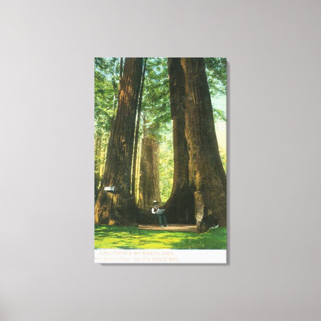 Lienzo Vista de los gemelos Redwood en Big Tree Grove (Anverso)