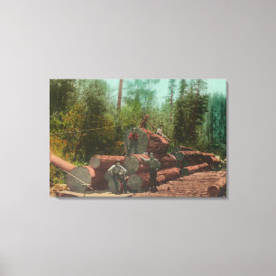 Lienzo Vista de Lumberjacks, registro de escenas de estre