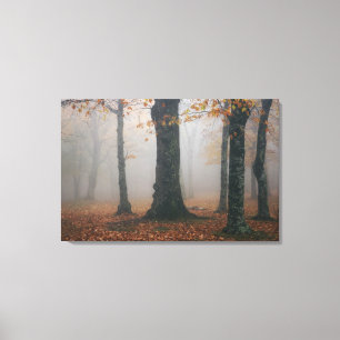 Lienzo Vista de otoño de un bosque brumoso, Grandfather 2