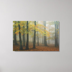 Lienzo Vista de otoño de un bosque brumoso, Grandfather 3