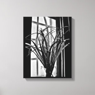 Lienzo Vista de planta de ventana