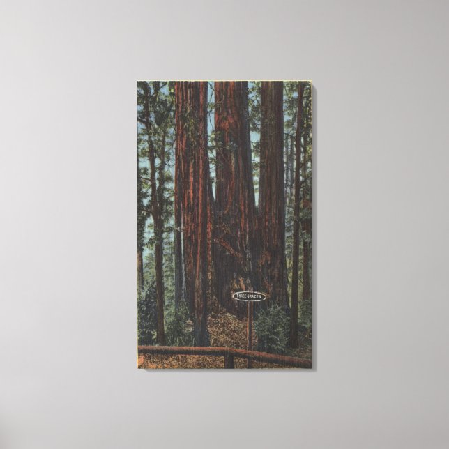 Lienzo Vista de "Tres Graces" en el Parque de los Grandes (Anverso)