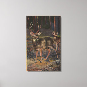 Lienzo Vista de un dólar salvaje