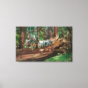 Lienzo Vista de un entrenador de escenario sobre un gigan