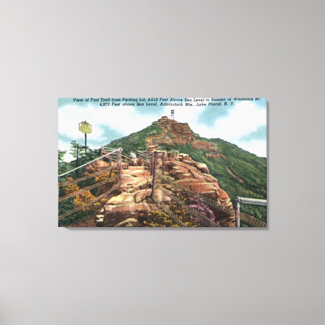 Lienzo Vista del Camino de los pies a la Cumbre (Anverso)