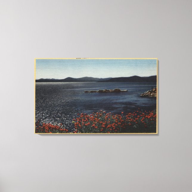 Lienzo Vista del lago desde las costas del norte (Anverso)