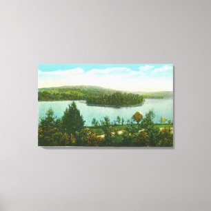 Lienzo Vista del lago loon y de la isla de Blythewood