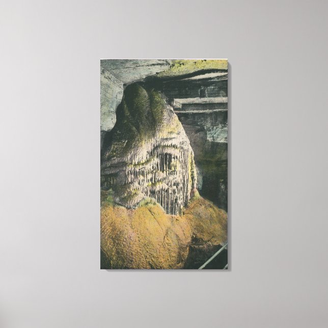 Lienzo Vista del órgano de tubería (Anverso)