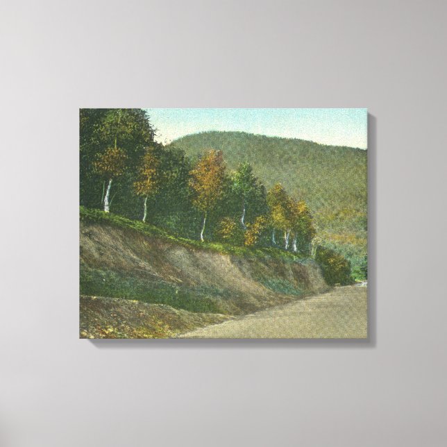 Lienzo Vista del sendero mohicano (Anverso)