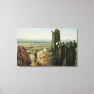 Lienzo Vista desde Maricopa Mountain cerca de Rio Gila po