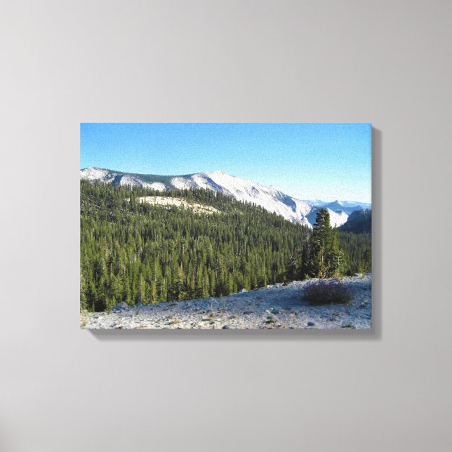 Lienzo Vista desde Olmstead Point, Yosemite, CA (Anverso)