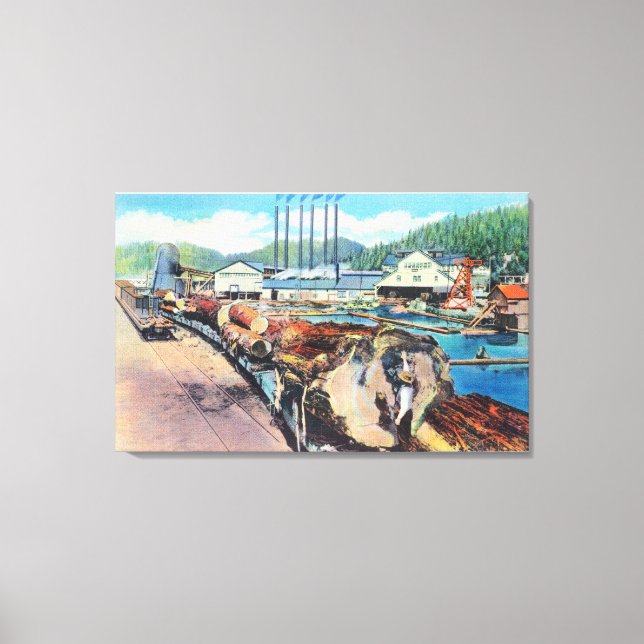 Lienzo Vista exterior de Pacific Lumber Co, secuoya (Anverso)