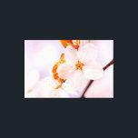 Lienzo Vista Frontal De La Flor De Sakura En La Temporada<br><div class="desc">Vista frontal de cerca de la flor de sakura blanca contra el fondo rosa pálido suave de los cerezos en flor. El cuento de hadas de la temporada de primavera. Una pintura digital extra grande de una fotografía. Impresión de lienzos floridos y estirados para decorar tu lugar o para ser...</div>