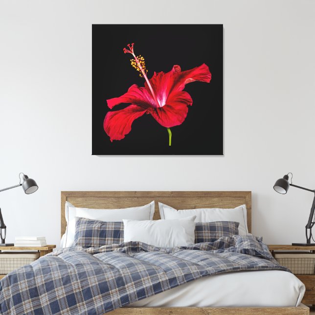Lienzo Vista lateral de las flores rojas de Hibiscus (Insitu(Dormitorio))