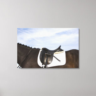 Lienzo vista lateral del caballo ensillado