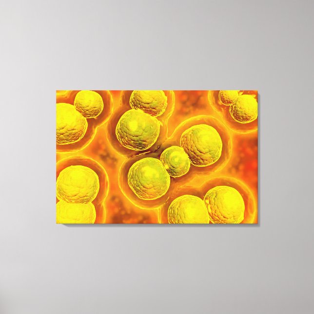 Lienzo Vista Microscópica De La Clamidia (Anverso)