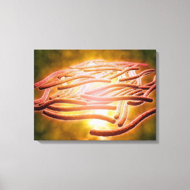 Lienzo Vista Microscópica De La Legionella Pneumophila 2 (Anverso)