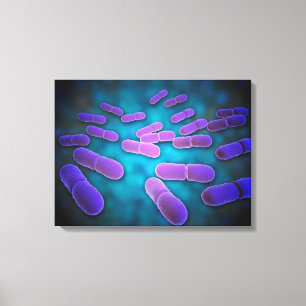 Lienzo Vista microscópica de la listeriosis Monocytogene