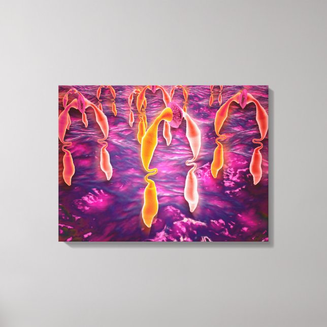 Lienzo Vista Microscópica De La Unión De Ligangas A Un Re (Anverso)