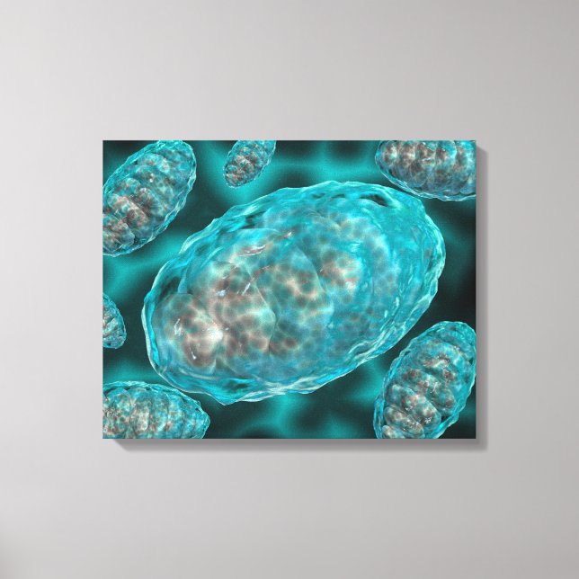 Lienzo Vista Microscópica De Mitochondria 2 (Anverso)