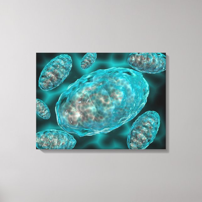 Lienzo Vista Microscópica De Mitochondria 2 (Anverso)