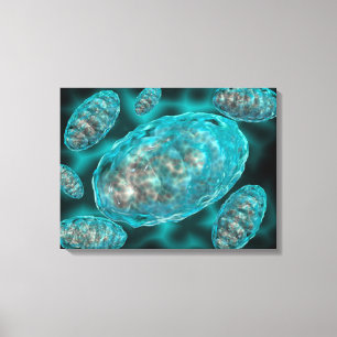 Lienzo Vista Microscópica De Mitochondria 2