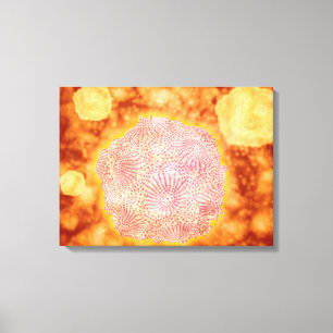 Lienzo Vista microscópica de Parvovirus canino 1