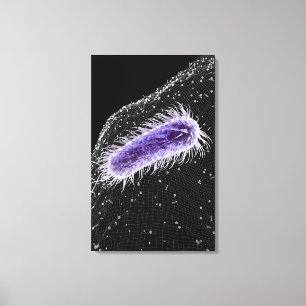 Lienzo Vista microscópica de una célula de los píloros