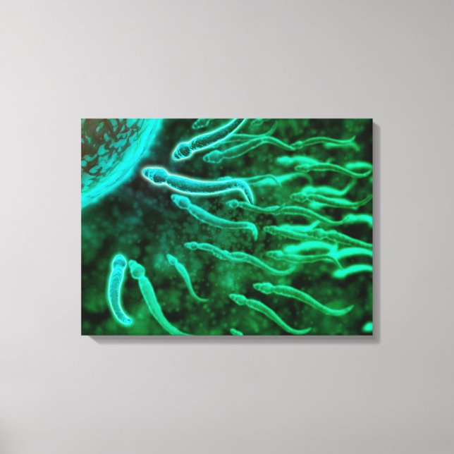 Lienzo Vista Microscópica Del Baño De Esperma Hacia El Hu (Anverso)
