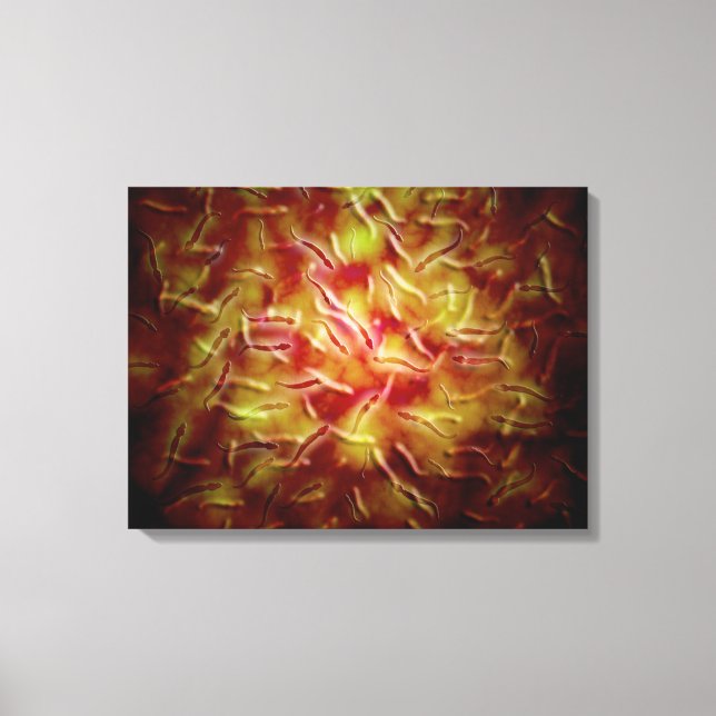 Lienzo Vista Microscópica Del Esperma (Anverso)