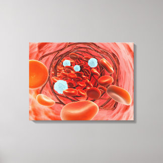 Lienzo Vista Microscópica Del Flujo De Sangre Dentro De U