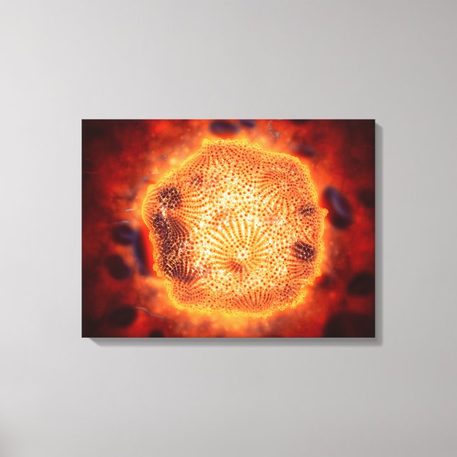 Lienzo Vista Microscópica Del Parvovirus Canino 4 (Anverso)