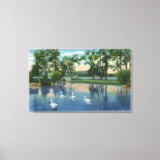 Lienzo Vista panorámica de los cisnes en el lago