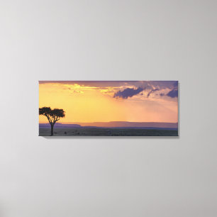 Lienzo Vista panorámica de un solo árbol de acacia en