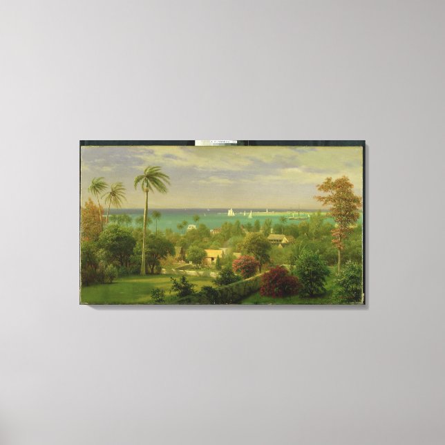 Lienzo Vista panorámica del puerto de Nassau, en el Bah (Anverso)