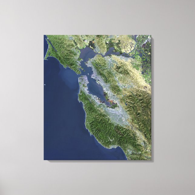 Lienzo Vista por satélite de San Francisco, California (Anverso)