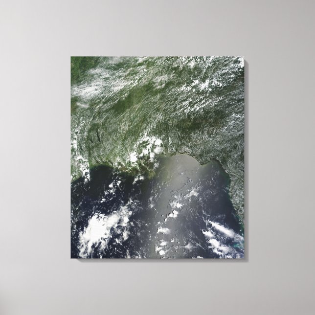 Lienzo Vista satelital del Golfo de México 2 (Anverso)