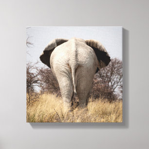 Lienzo Vista trasera de elefante