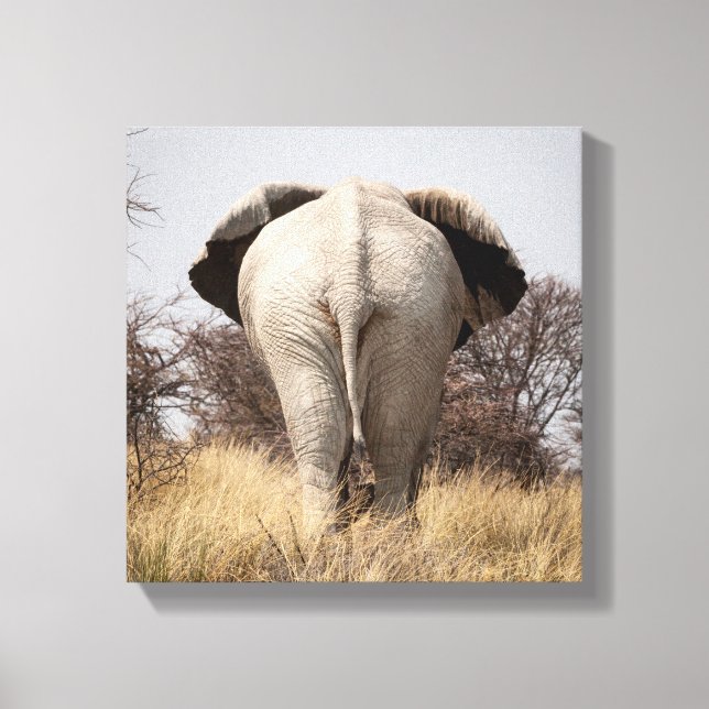 Lienzo Vista trasera de elefante (Anverso)