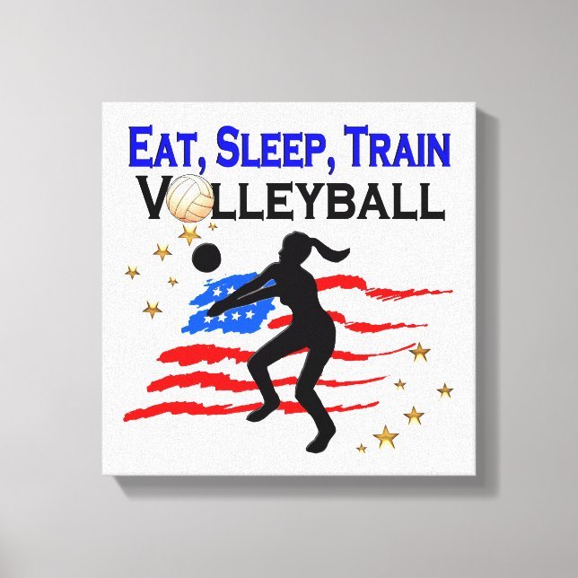 LIENZO VIVIENDO MI DISEÑO DE SUEÑO DE VOLEIBOL (Anverso)