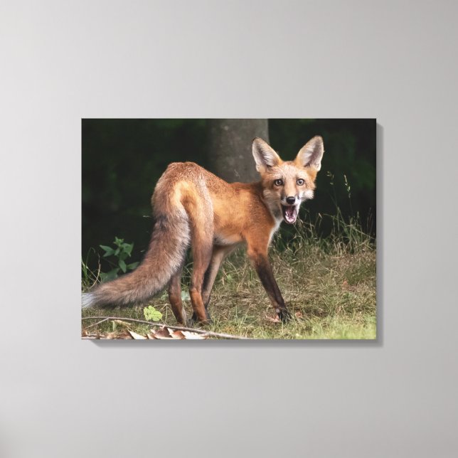 Lienzo Vivir con espíritu (Anverso)