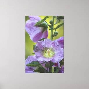 Lienzo Vivo Con Verdes De Pistachio