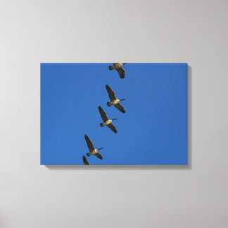 Lienzo Volando