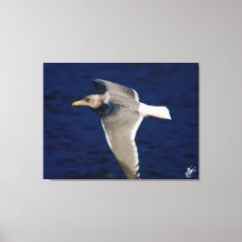Lienzo Vuelo a mitad de gaviota en la Bahía de Mutiny