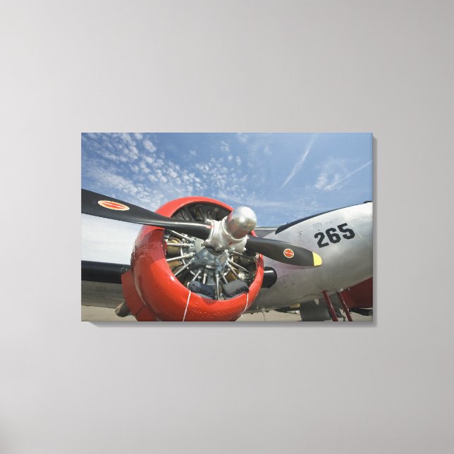 Lienzo WA, Arlington, Arlington Fly-in, Exposición de la  (Anverso)