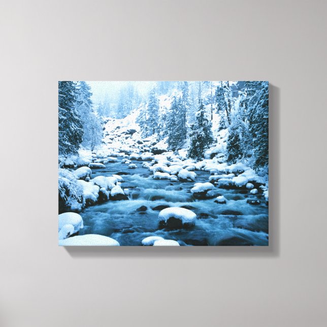 Lienzo WA, Bosque Nacional Wenatchee, Cascada (Anverso)