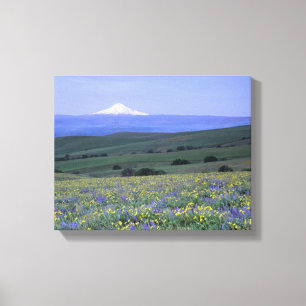 Lienzo WA, Condado de Klickitat, Dalles Mountain Ranch,