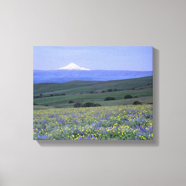 Lienzo WA, Condado de Klickitat, Dalles Mountain Ranch, (Anverso)